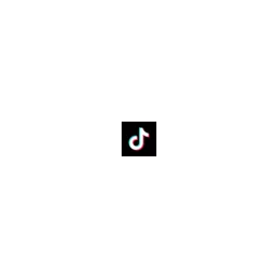 TikTok Catalog